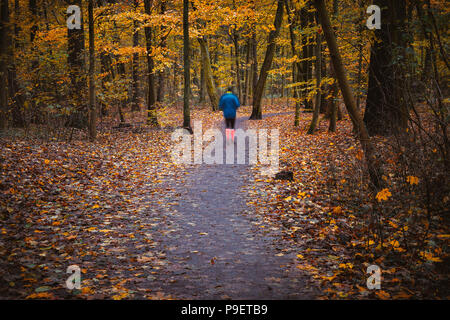 Ghostly sport hike figure in autumnal square, autumn forest landscape, trees with yellow leaves and alleys Stock Photo