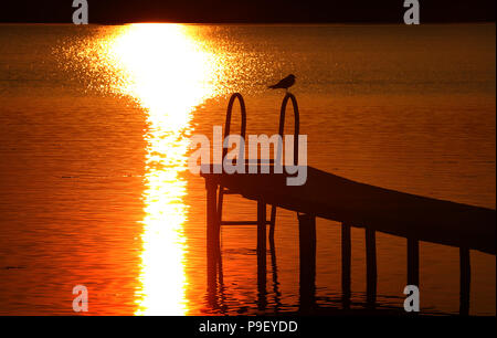 12 July 2018, Germany, Fuessen: A seagull sits on a pier at the Hopfensee lake during sunset. Photo: Karl-Josef Hildenbrand/dpa Stock Photo