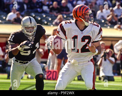 Cincinnati Bengals quarterback Neil O'Donnell passes under pressure from Detroit  Lions' Kerwin Waldroup (93) in the first half Sunday, Sept. 13, 1998, in  Pontaic, Mich. O'Donnell completed 25-of-36 for 303 yards and