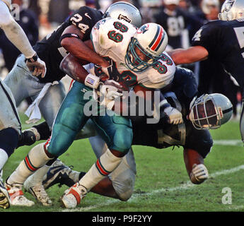 Oakland, California, USA. 6th Dec, 1998. Oakland Raiders vs. Miami Dolphins  at Oakland Alameda County Coliseum Sunday, December 6, 1998. Dolphins beat  Raiders 27-17. Miami Dolphins tight end Ed Perry Credit: Al