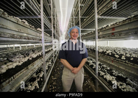 (180718) -- PENNSYLVANIA, July 18, 2018 (Xinhua) -- Chris Alonzo, president of Pietro Industries, is seen at his farm in Chester County in Pennylvania, the United States, July 9, 2018. While U.S. President Donald Trump sees an 'economic enemy' in China, the northeastern U.S. county of Chester in Pennylvania sees an economic partner. TO GO WITH Feature: U.S. partnerships with China mushroom despite trade frictions (Xinhua/Wang Ying) (zcc) Stock Photo