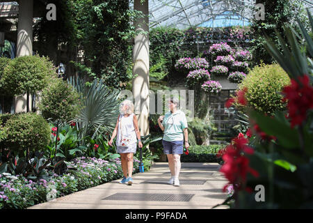 (180718) -- PENNSYLVANIA, July 18, 2018 (Xinhua) -- Tourists enjoy themselves at Longwood Gardens in Chester County in Pennsylvania, the United States, July 9, 2018. While U.S. President Donald Trump sees an 'economic enemy' in China, the northeastern U.S. county of Chester in Pennylvania sees an economic partner. TO GO WITH Feature: U.S. partnerships with China mushroom despite trade frictions (Xinhua/Wang Ying) (zcc) Stock Photo