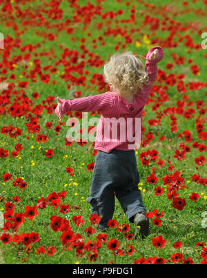 Spring anemone field and happy todler ,Israel Stock Photo