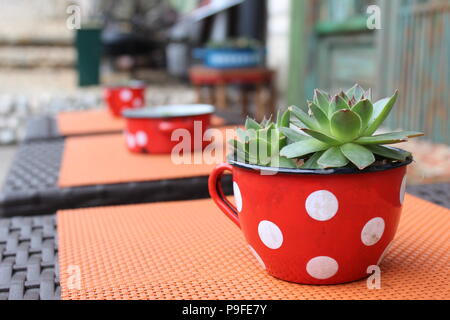 Tin cups in a trandy coffee shop in Sarajevo Stock Photo