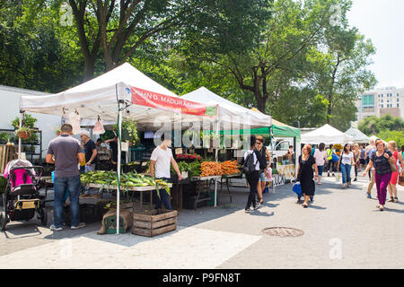 NEW YORK CITY - JULY 16, 2018: Shoppers buying produce on display at the Union Square Greenmarket farmers market in Manhattan. Stock Photo