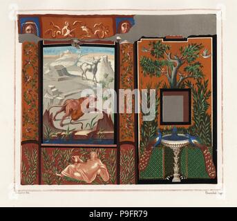 Wall mural in a viridarium (garden) of a tiger attacking a bull, and peacocks on a fountain, from the House with the Inscribed Pictures, Regio V, Insula I, N. 18. Chromolithograph by Victor Steeger after an illustration by Geremia Discanno from Emile Presuhn’s Les Plus Belles Peintures de Pompei (The Most Beautiful Paintings of Pompeii), Leipzig, 1881. Stock Photo