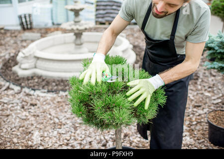 Gardener working in the garden Stock Photo