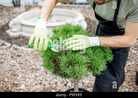 Gardener working in the garden Stock Photo