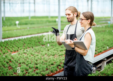 Workkers with digital tablet in the greenhouse Stock Photo