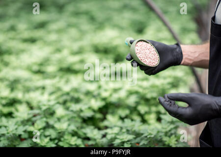 Fertilizing the plants Stock Photo