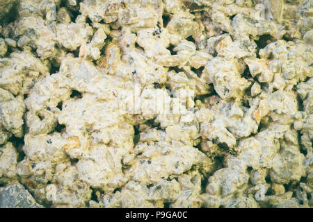 Cement Texture of Cement Wall Backgorund Close  Up View  for Design. Cement texture background with small gravel Stock Photo