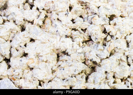 Cement Texture of Cement Wall Backgorund Close  Up View  for Design. Cement texture background with small gravel Stock Photo