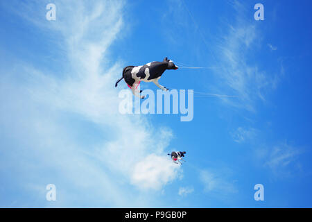 group of black white air cow kites flying high in the sky. Kite festival Stock Photo