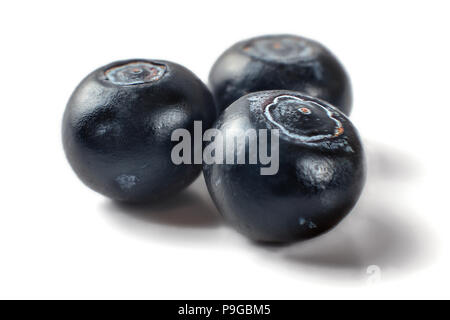 Three dark blueberries isolated on white background. Stock Photo