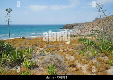 Sandy beach and agave plants in the Cabo de Gata-Níjar natural park, Playa del Barronal, Mediterranean sea, Almeria, Andalusia, Spain Stock Photo