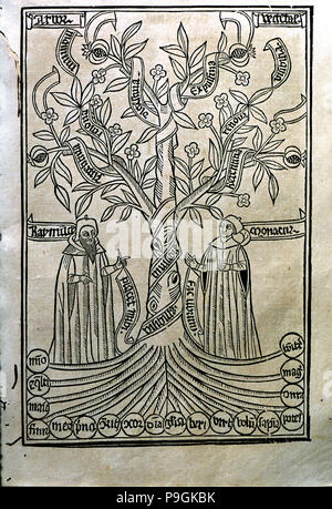 Engraving of a tree in the work 'Arbor Scientiae' (Science Tree) copy printed in Barcelona in 150… Stock Photo