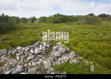 Neolithic Stone Labyrinth, Solovetsky Islands, Russia Stock Photo