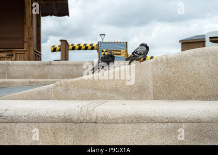 2 Pigeons on a ramp at Liverpool Waterfront Stock Photo
