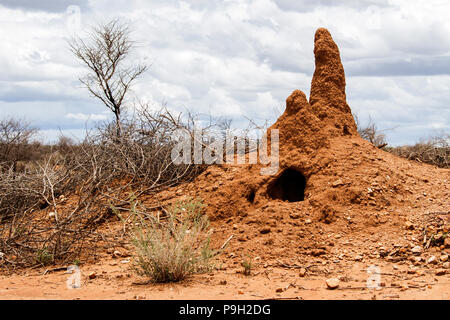 Termite mounds in the Namibian Bush Stock Photo