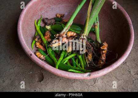 A red bowl of freshly picked chillies and turmeric  on an earth floor of a kitchen in rural India. Stock Photo