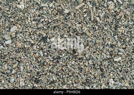 sea pebbles pebbles colored granite on the beach on the beach background Sea shells, corals, pebble stones and sand for background. Stock Photo