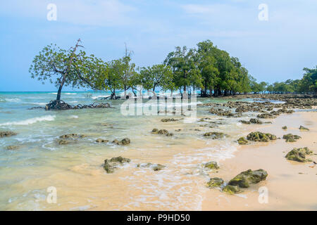 Andaman and Nicobar islands. India. North Passage Island. Beautiful sea landscape with turquoise water and blue sky and exotic deciduous plants. Stock Photo