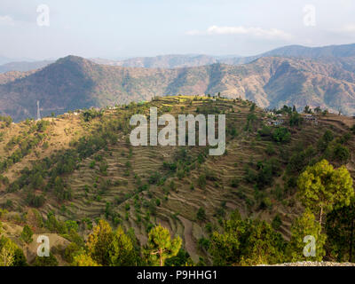 Terraced Fields on the remote Sanouli village, where Jim Corbett shot the Panar maneater, Kumaon Hills, Uttarakhand, India Stock Photo