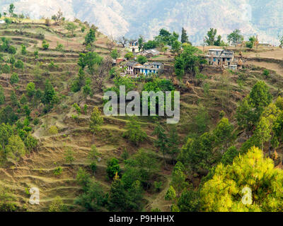 Terraced Fields on the remote Sanouli village, where Jim Corbett shot the Panar maneater, Kumaon Hills, Uttarakhand, India Stock Photo