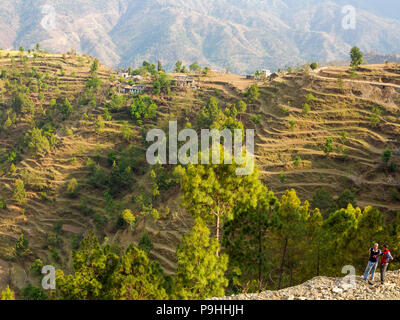 Terraced Fields on the remote Sanouli village, where Jim Corbett shot the Panar maneater, Kumaon Hills, Uttarakhand, India Stock Photo