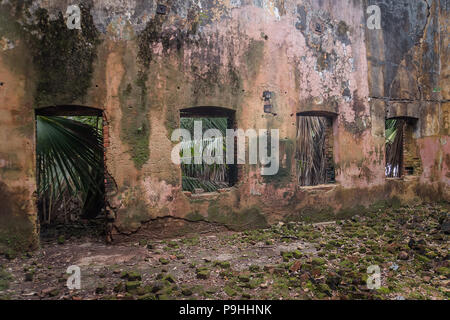 abandoned church interior where weeds and plants grow on the inside walls and windows. Crumbled bricks lay on the foreground Stock Photo