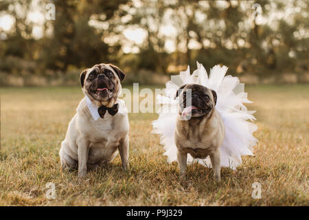 pug bridesmaid dress Shades of Gold Tutu (Pre-Order)