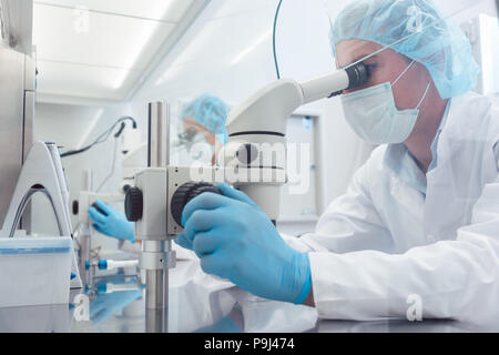 Two lab technicians or scientists working in laboratory Stock Photo