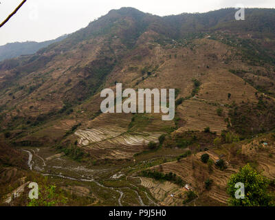 Extensive terraced fields at the remote village of Dalkanya on the Nandhour Valley, Kumaon Hills, Uttarakhand, India Stock Photo