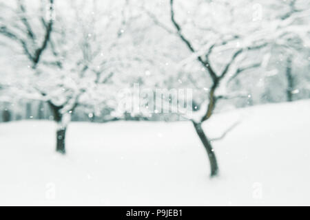 Abstract image with out of focus forest and falling snow in foreground, Amsterdamse waterleiding duinen, Netherlands. Stock Photo