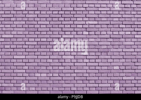 Crocus Petal colored brick wall background Stock Photo