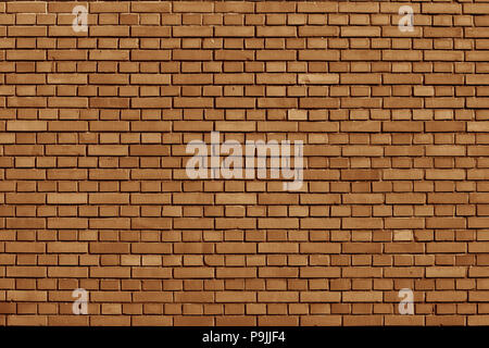 Meerkat colored brick wall background Stock Photo