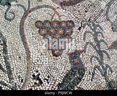 Mosaic in the Amphitheatre house representing a cluster of grapes and a bird, preserved in the ar… Stock Photo