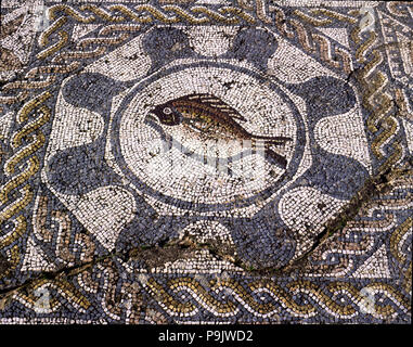 Mosaic in the dining room of the Amphitheatre house representing a fish, preserved in the archaeo… Stock Photo