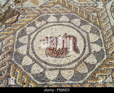 Mosaic in the Amphitheatre house representing a snake, preserved in the archaeological site of Me… Stock Photo