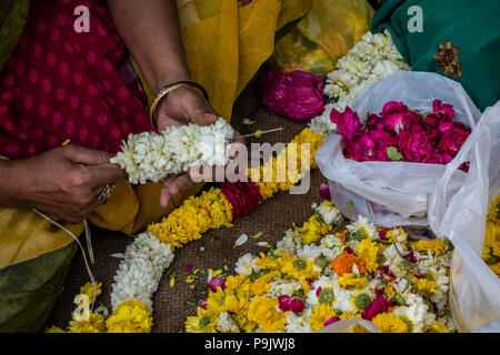 Indian woman making traditional flower garlands at a market stall in Old Delhi, Delhi, India