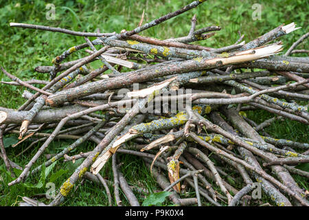 Pile of wood for heating in the winter Stock Photo