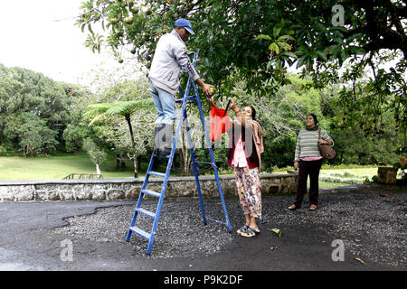 Le Domaine des Aubineaux.Curepipe