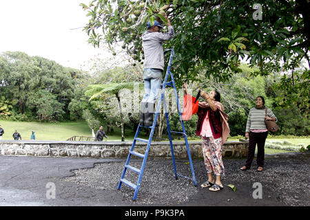 Le Domaine des Aubineaux.Curepipe