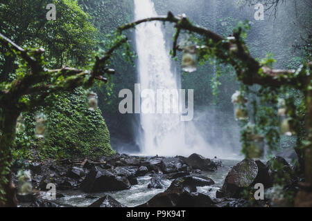 Tropical wedding ceremony with waterfall view in jungle canyon. Decorated with green ivy, old branches and hanging lamps Stock Photo