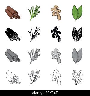 Cinnamon bark, spicy rosemary, ginger root, bay leaf. Spices set collection icons in cartoon black monochrome outline style vector symbol stock illust Stock Vector