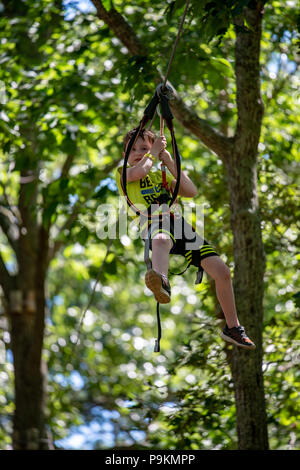 Portrait of a handsome boy on a rope park among trees. Children summer activities. Stock Photo