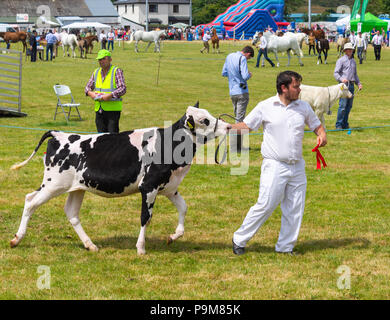 Skibbereen, Ireland. 19th July, 2018. Another bright summers day with a cooling breeze allowed the many classes of Cattle and Horses to enjoyed by all at the Carbery and Skibbereen show.  Credit: aphperspective/Alamy Live News Stock Photo