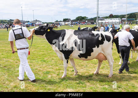 Skibbereen, Ireland. 19th July, 2018. Another bright summers day with a cooling breeze allowed the many classes of Cattle and Horses to enjoyed by all at the Carbery and Skibbereen show.  Credit: aphperspective/Alamy Live News Stock Photo