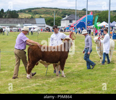 Skibbereen, Ireland. 19th July, 2018. Another bright summers day with a cooling breeze allowed the many classes of Cattle and Horses to enjoyed by all at the Carbery and Skibbereen show.  Credit: aphperspective/Alamy Live News Stock Photo