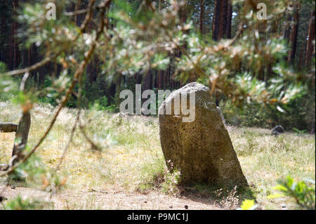 Stone Cirle of Prehistoric Goth burial ground Rezerwat przyrody Kamienne Kregi (Stone Circles nature reserve) from I to III century AD in Odry, Poland Stock Photo